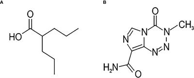 Cross-reactivity between histone demethylase inhibitor valproic acid and DNA methylation in glioblastoma cell lines